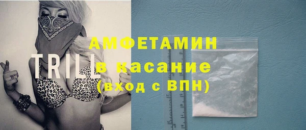 гашик Вязьма