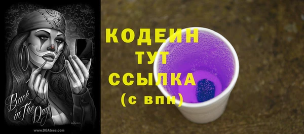 гашик Вязьма