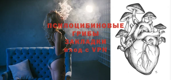 гашик Вязьма