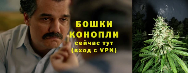 стаф Вязники
