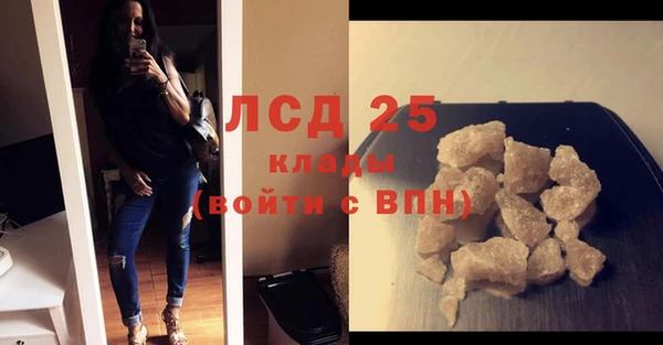 гашик Вязьма