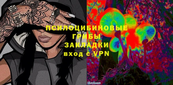 гашик Вязьма