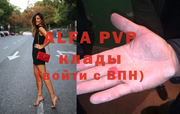 стаф Вязники