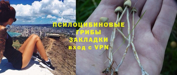 гашик Вязьма