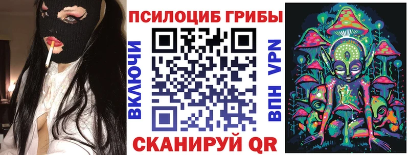 Псилоцибиновые грибы GOLDEN TEACHER как найти hydra онион Новочеркасск