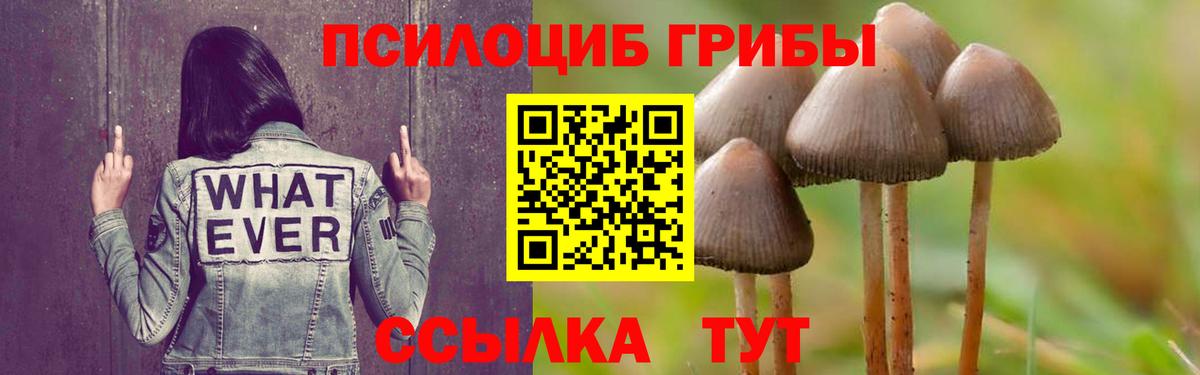 Псилоцибиновые грибы Cubensis  Вход с VPN  Новочеркасск 